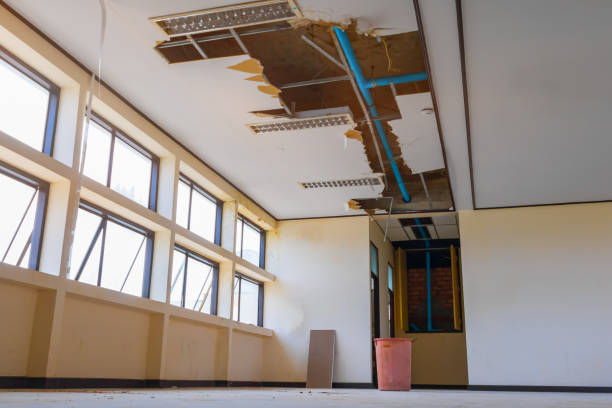 Best Water damage repair service  in Linwood, PA