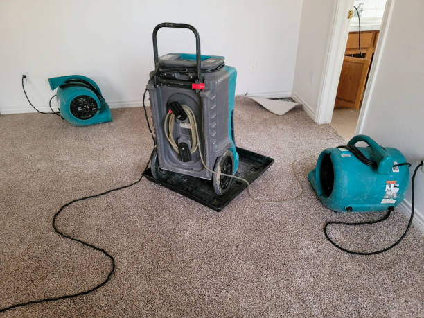 Best 24/7 water damage repair  in Linwood, PA