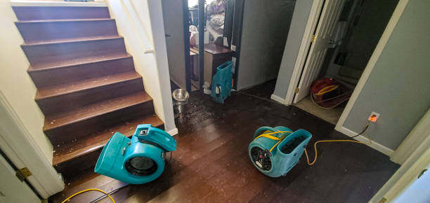 Best Mold removal after water damage  in Linwood, PA