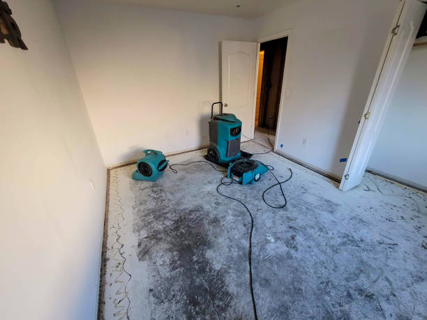 Best 24-hour water damage restoration  in Linwood, PA