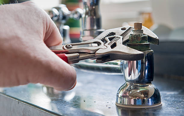 Best Flooded house restoration  in Linwood, PA