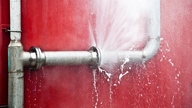 Best Professional water damage repair  in Linwood, PA